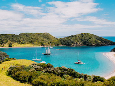 Plunge into the life aquatic in the Bay of Islands