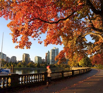 Stroll around an urban rainforest in Stanley Park