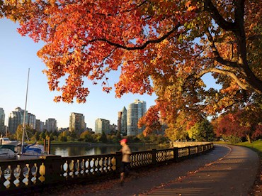 Stroll around an urban rainforest in Stanley Park