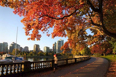 Stroll around an urban rainforest in Stanley Park