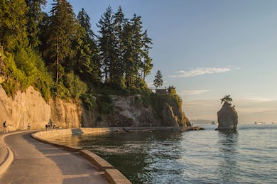 Stroll around an urban rainforest in Stanley Park