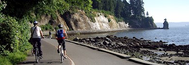 Stroll around an urban rainforest in Stanley Park