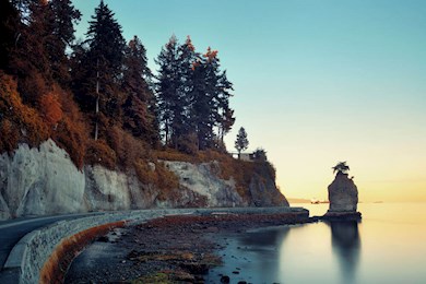 Stroll around an urban rainforest in Stanley Park