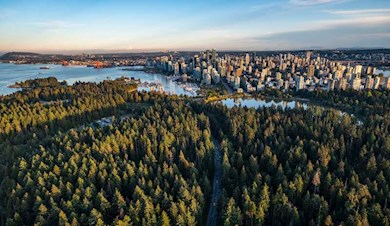 Stroll around an urban rainforest in Stanley Park