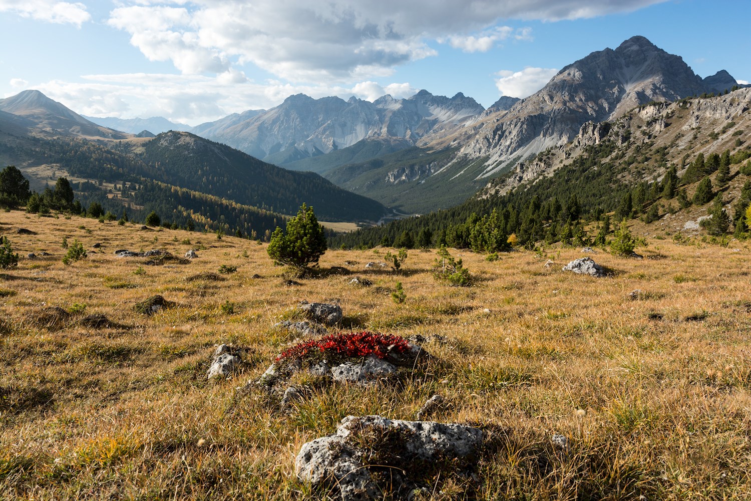 Go back to nature in the Swiss National Park