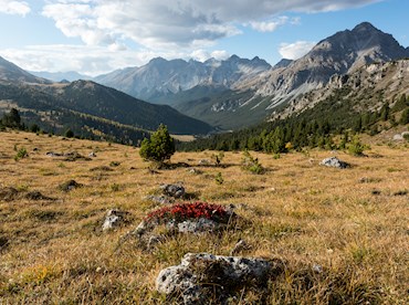 Go back to nature in the Swiss National Park