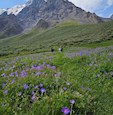 Hike up Central Asia's highest peaks in the Tian Shan