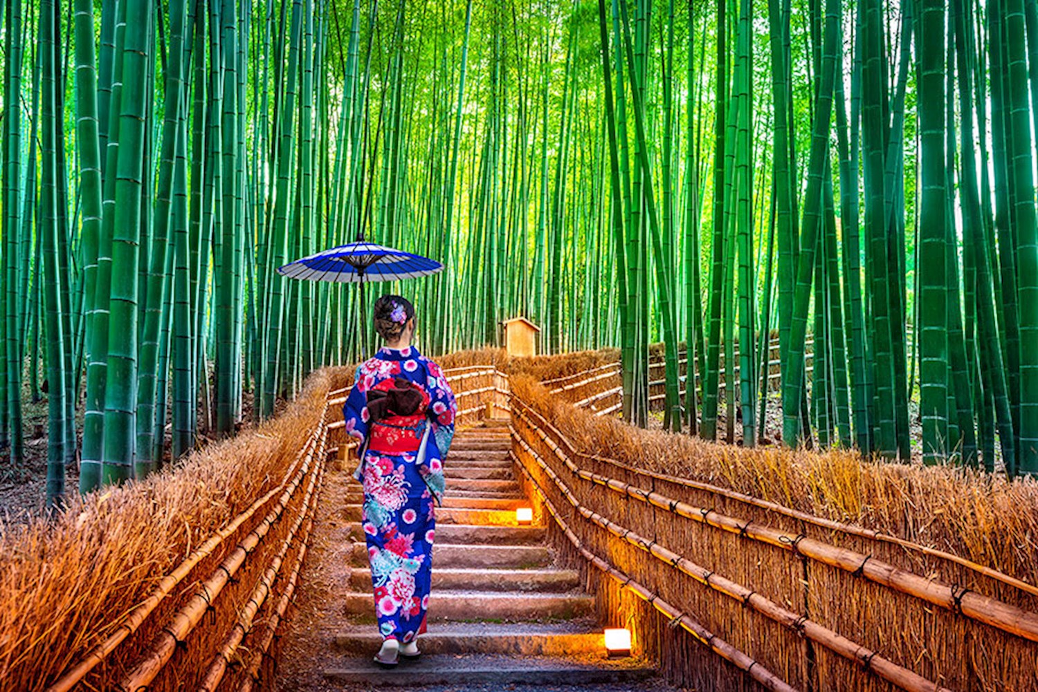 Step into a magical forest at Arashiyama Bamboo Grove