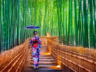 Step into a magical forest at Arashiyama Bamboo Grove