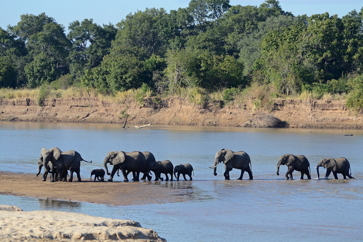 Discover South Luangwa National Park, Zambia's best kept safari secret