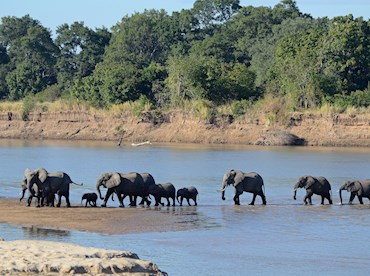 Discover South Luangwa National Park, Zambia's best kept safari secret