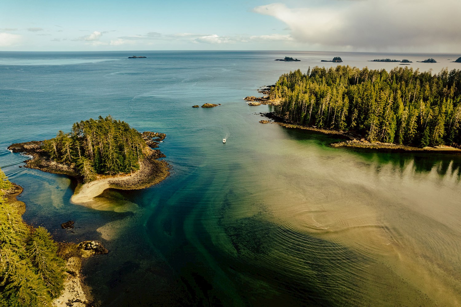 Explore ancient rainforests and First Nations culture at Haida Gwaii