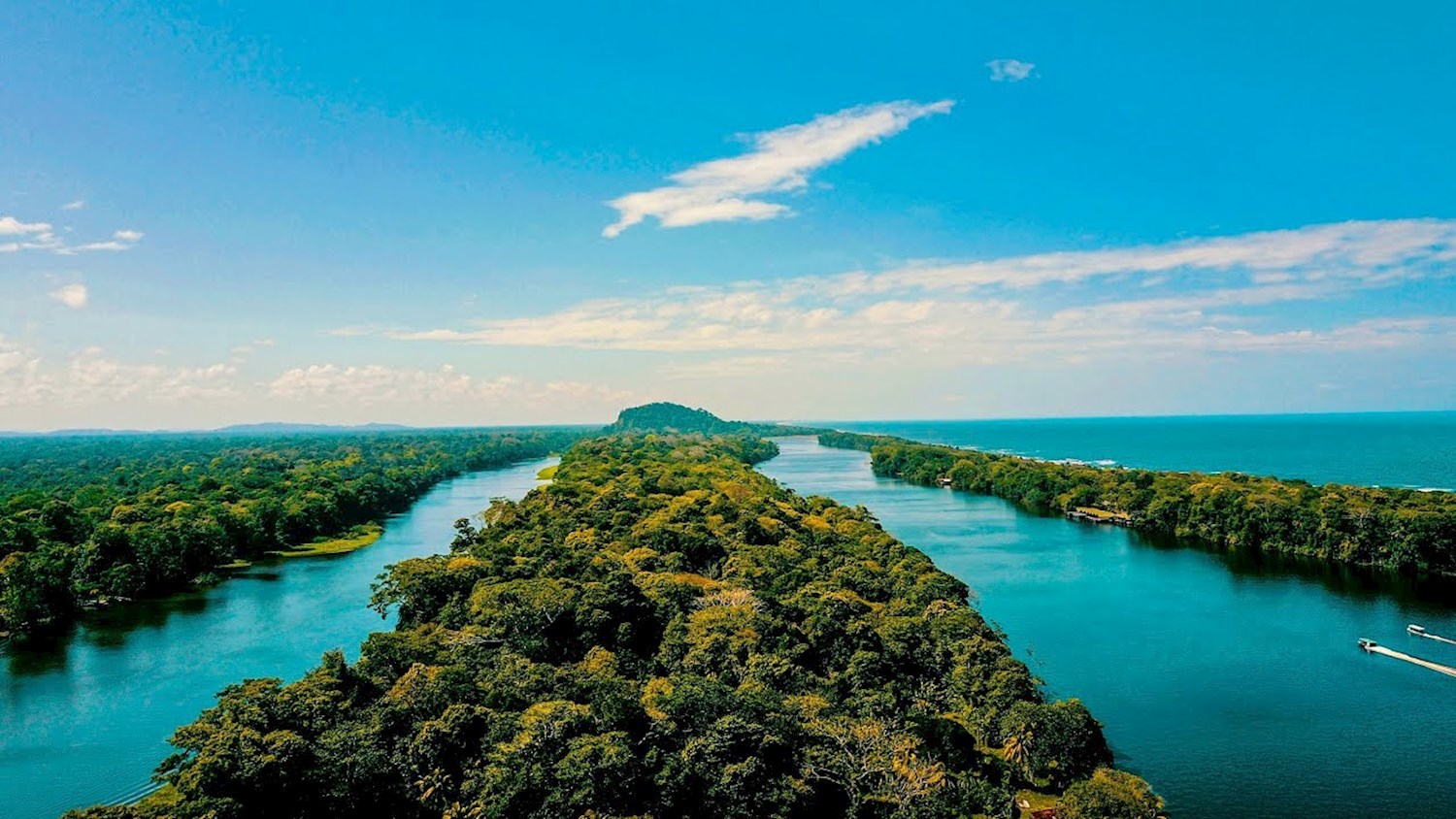 Observe sea turtles coming home in Parque Nacional Tortuguero