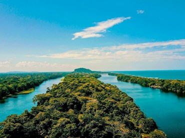 Observe sea turtles coming home in Parque Nacional Tortuguero