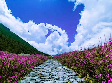 Hike the Himalaya's headiest trail in the Valley of Flowers