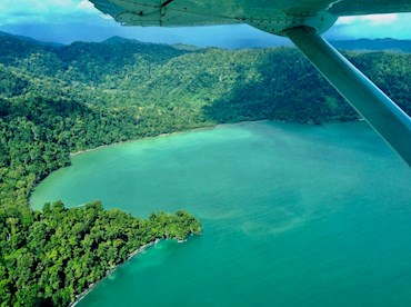 See divine forests and dolphins at Golfo Dulce