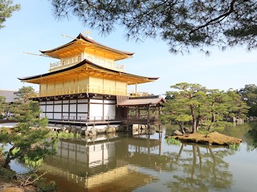 Be dazzled by golden Kinkaku ji