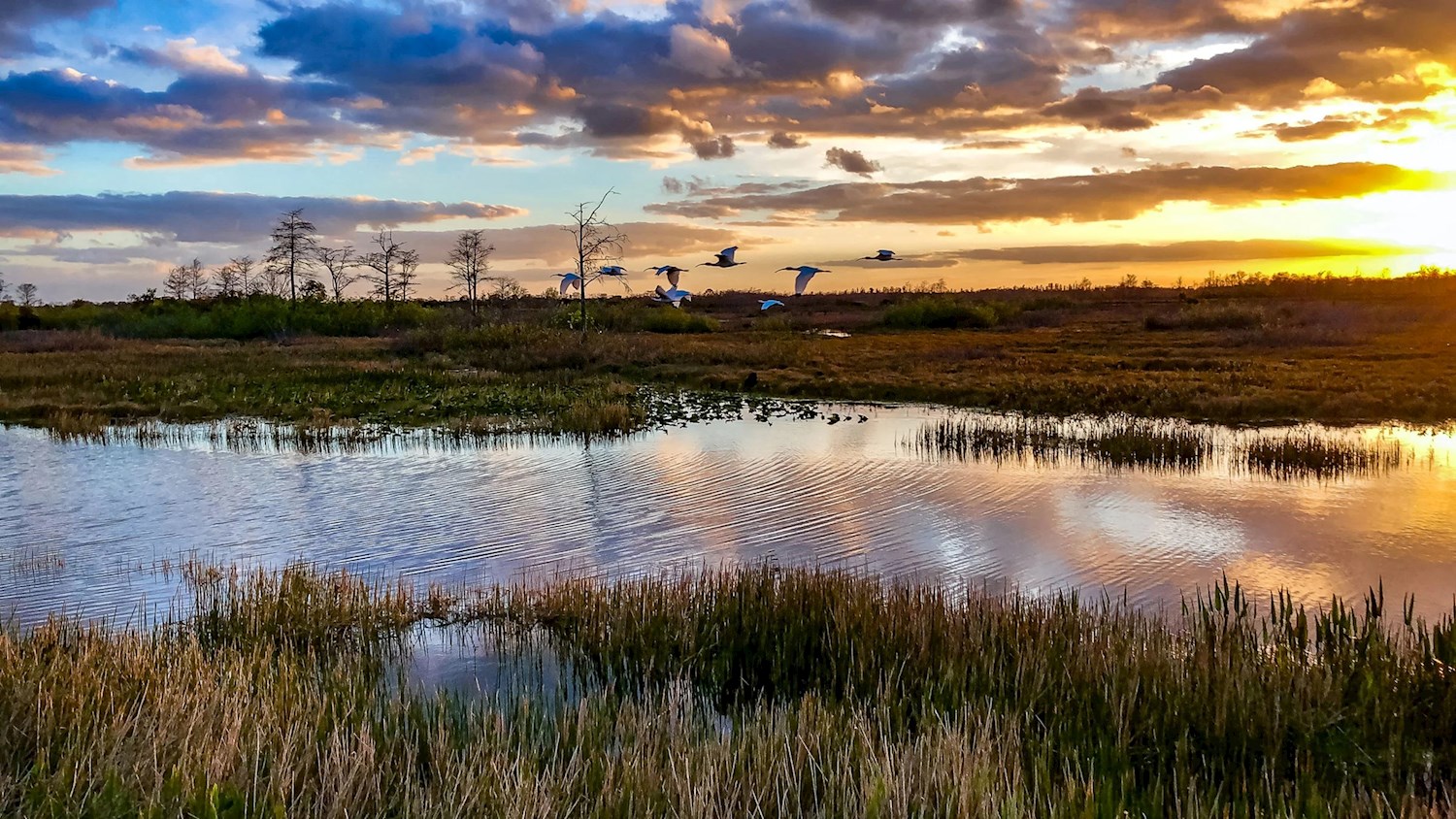 Wade into the watery wilderness of Everglades National Park