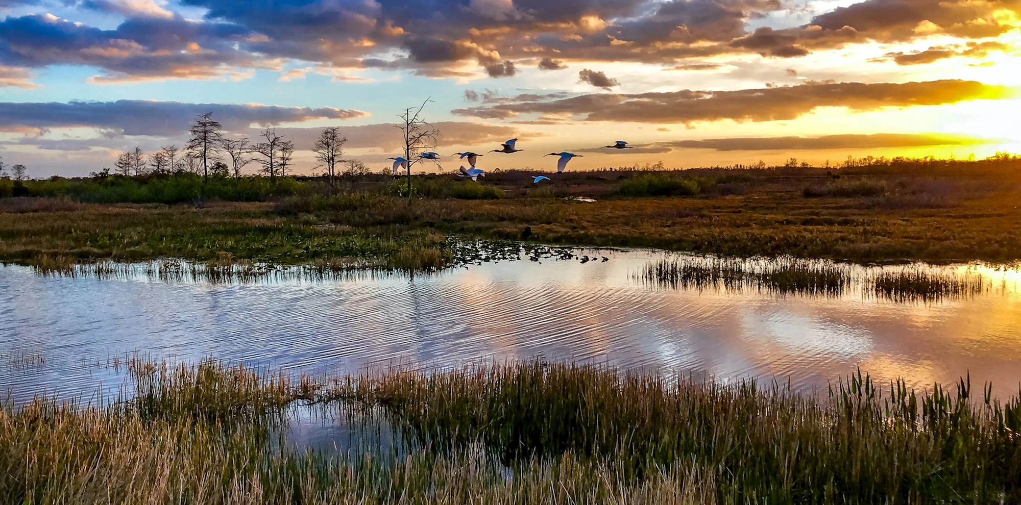 Wade into the watery wilderness of Everglades National Park