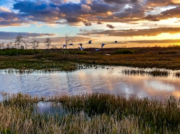 Wade into the watery wilderness of Everglades National Park