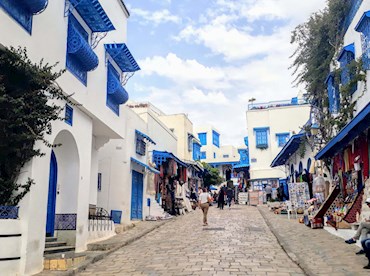 Gaze on Tunisia's true colours in Sidi Bou Said