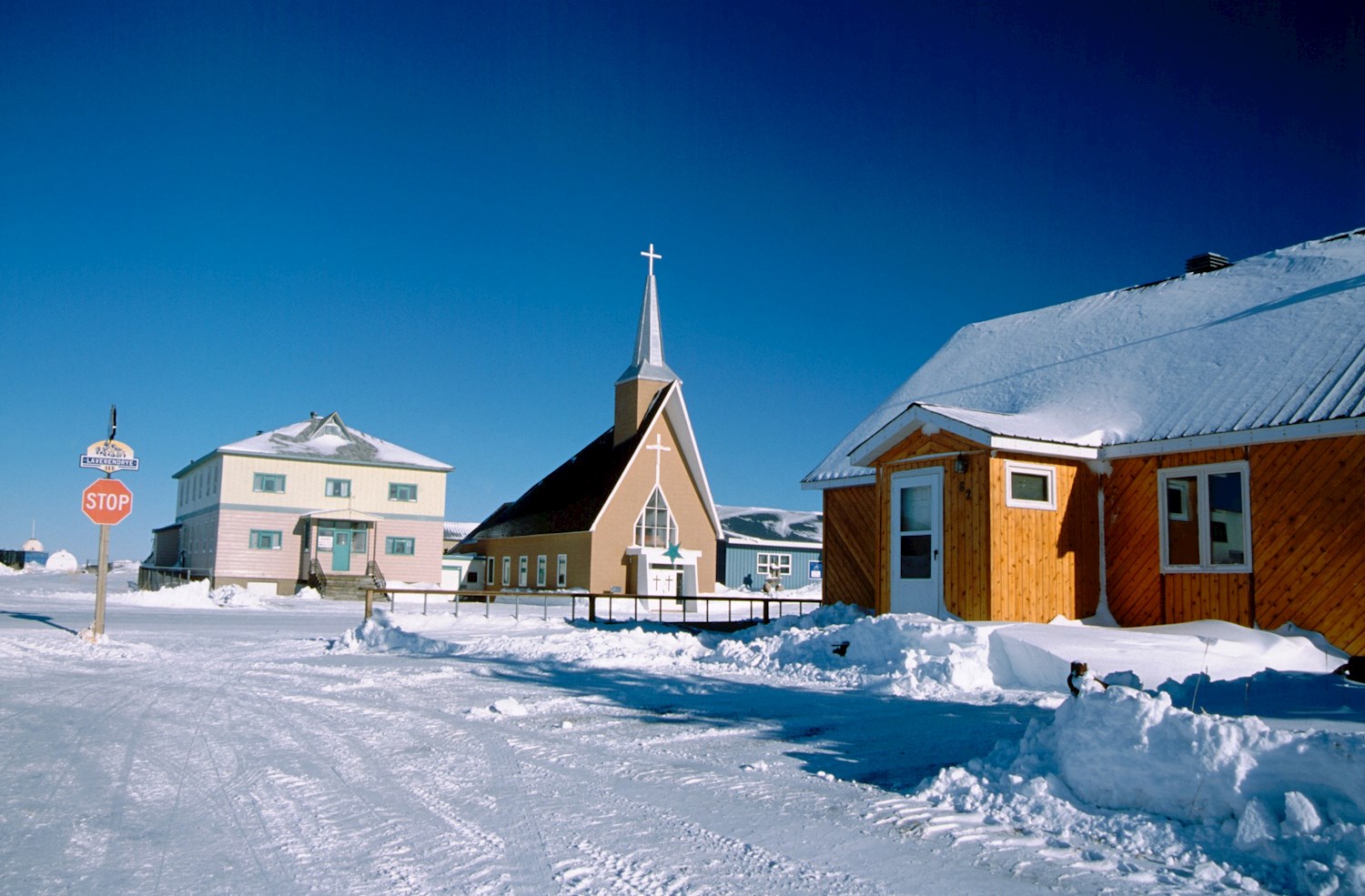 Call on polar bears and beluga whales in Churchill