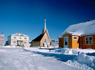 Call on polar bears and beluga whales in Churchill