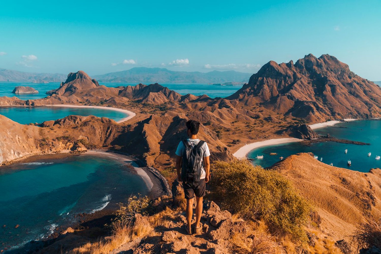 Encounter dragons on Komodo