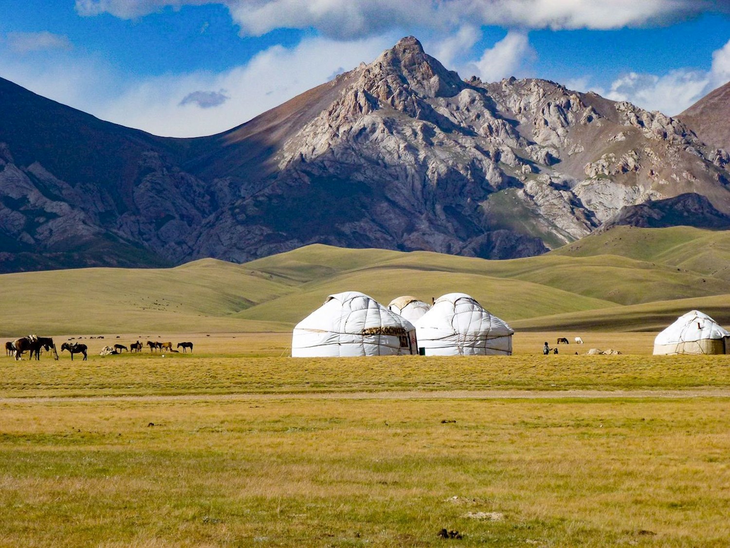 Sleep in a yurt on the shores of Son Köl