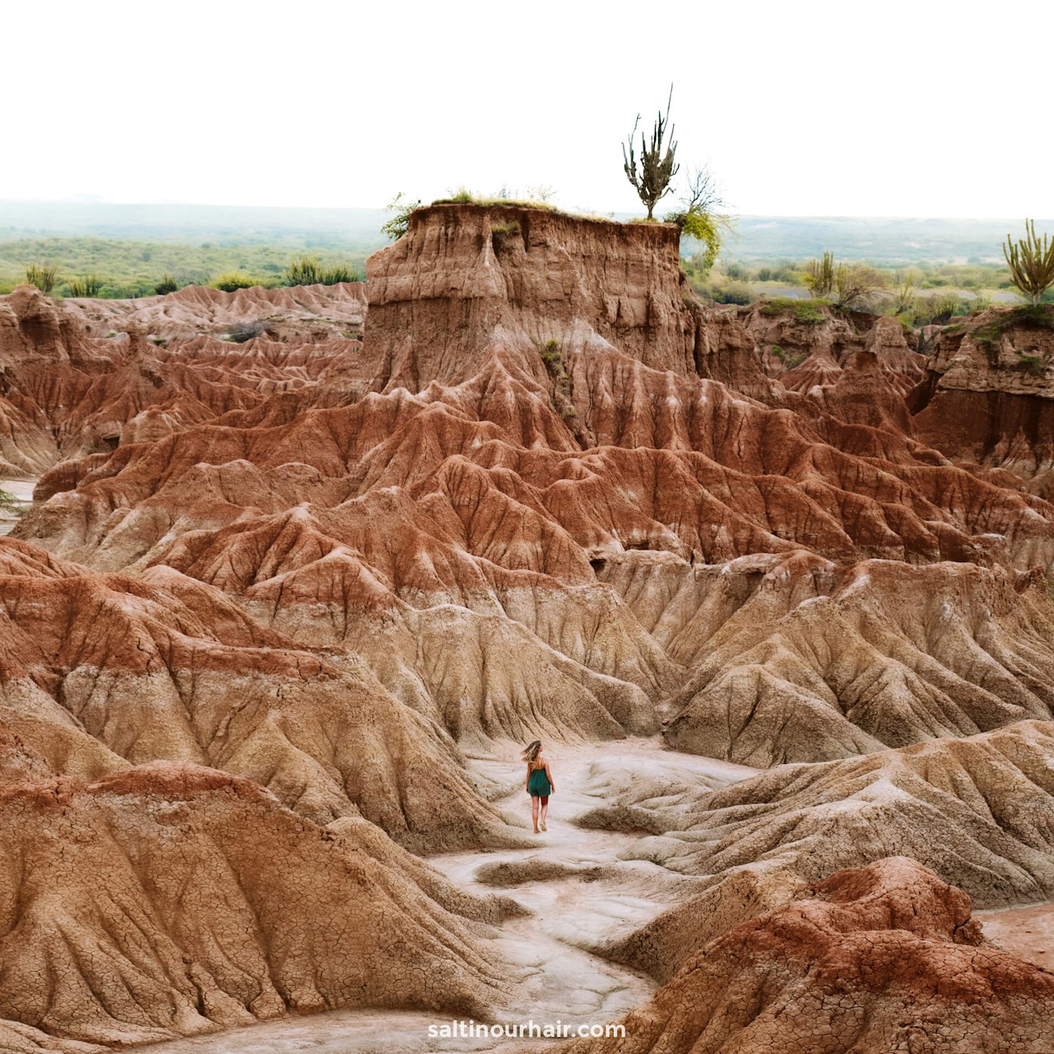 See stars in the cracked Desierto de la Tatacoa