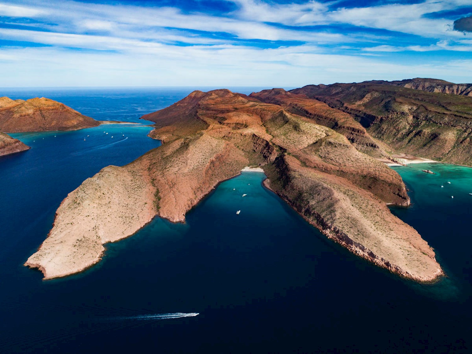 Kayak the wildlife-rich waters of Isla Espíritu Santo