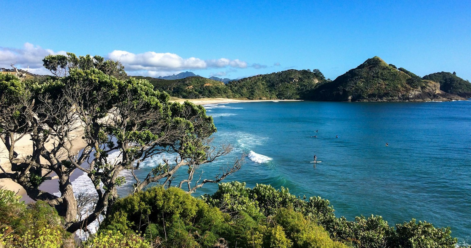 Head off- grid on Great Barrier Island