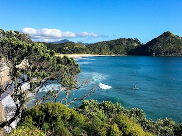 Head off- grid on Great Barrier Island