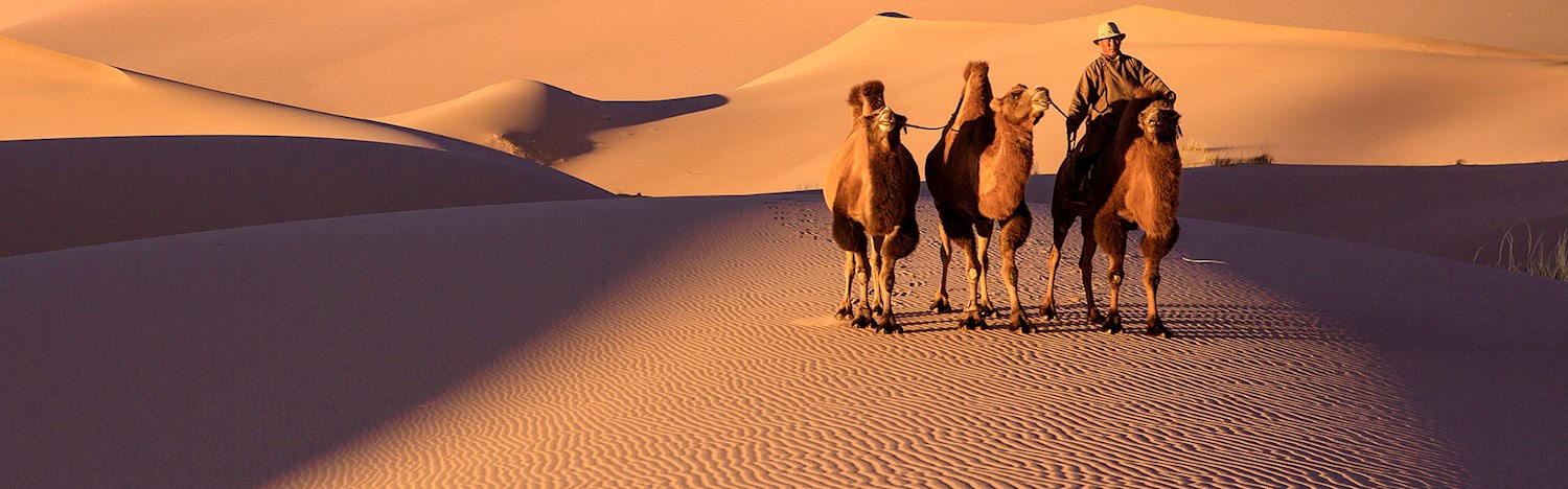 Watch sunset over the Gobi dunes of Mongolia's Khongoryn Els