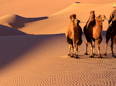 Watch sunset over the Gobi dunes of Mongolia's Khongoryn Els