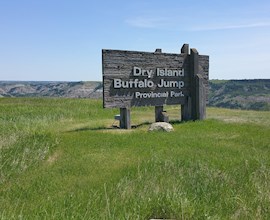 Appreciate First Nations ingenuity at Head Smashed In Buffalo Jump