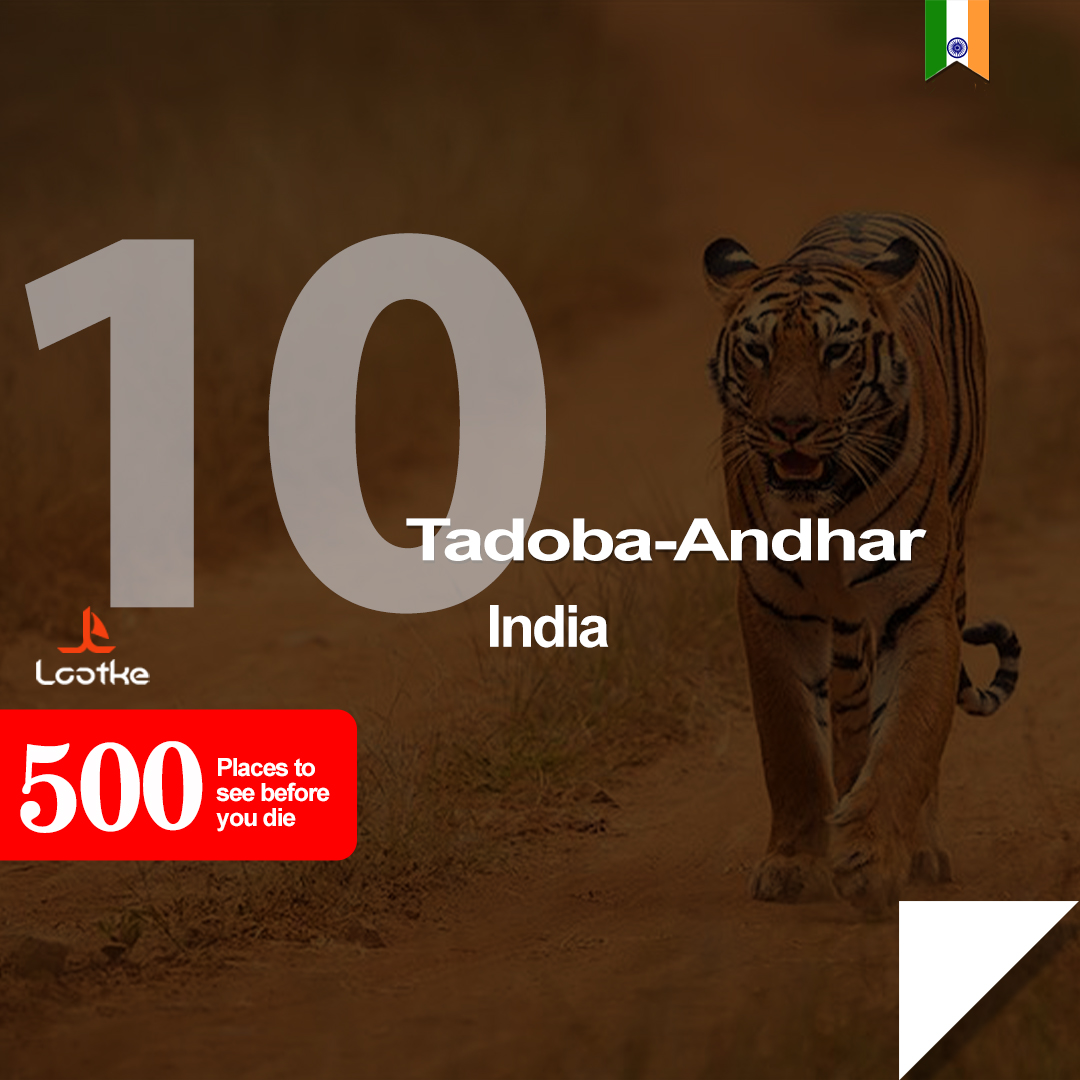 Tadoba Andhari National Park - Maharashtra's oldest and largest national park